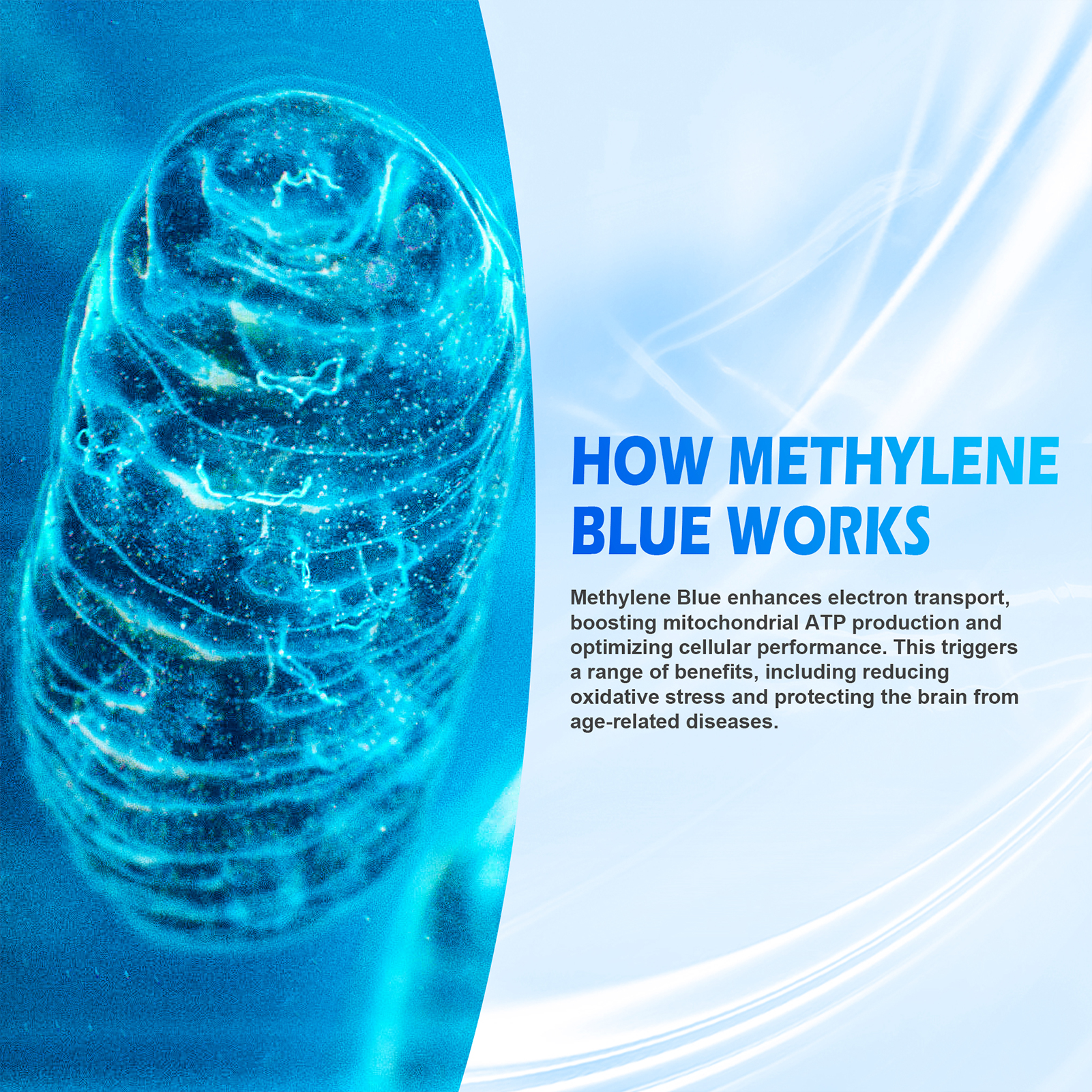 Methylene Blue Solution 1% - High Purity, Methylene Blue USP Standard Solution - No Formaldehyde, 4.06 Fl Oz, 120 ml - Image 5